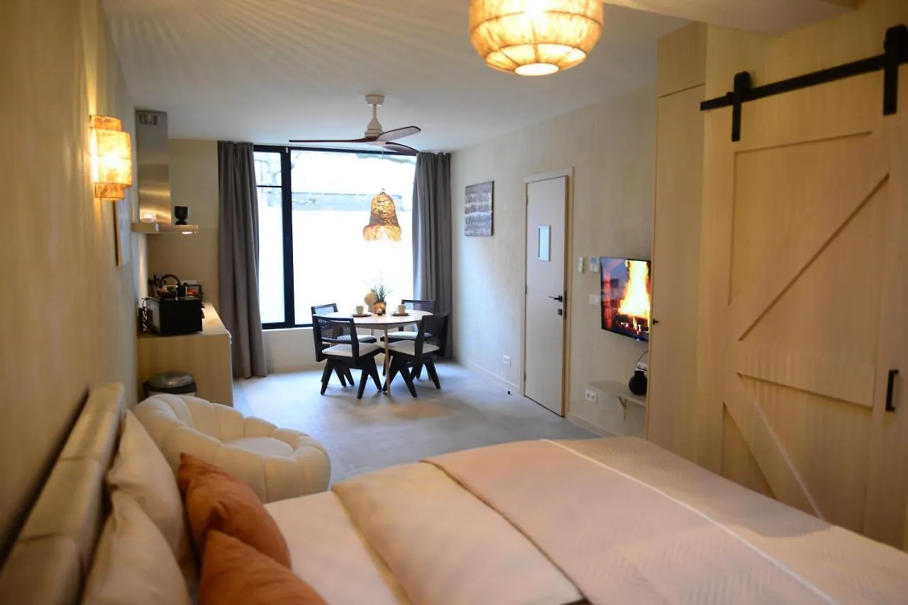 Balinese Cityflat Ac Anversa 0*,